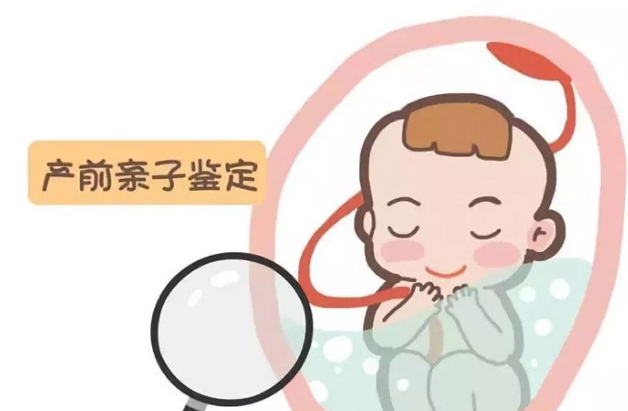 刚怀孕如何鉴定孩子是谁的[嘉兴],孕期亲子鉴定结果准确吗